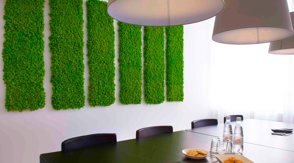 Biophilic Designs And Their Role In Sustainability